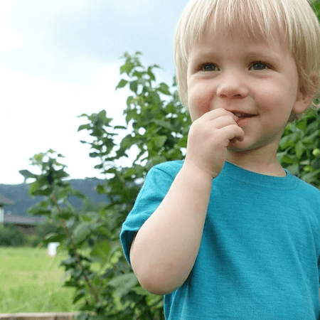 Koszulka t-shirt wełna merino + jedwab dziecięca gładka Gluckskind Heywool